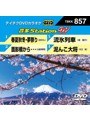 テイチクDVDカラオケ 音多Station W 857