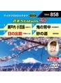 テイチクDVDカラオケ 音多Station W 858