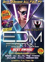 EDM FESTIVAL BEST AWARD