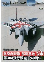 密着！第304飛行隊 航空自衛隊 那覇基地 第304飛行隊 創設40周年