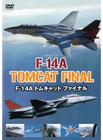 F-14A トムキャット ファイナル