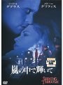 嵐の中で輝いて
