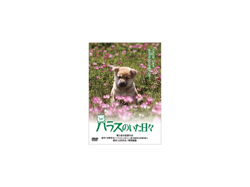 Dmm Com ハラスのいた日々 Dvdレンタル