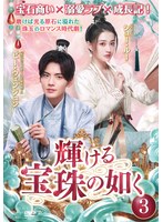 輝ける宝珠の如く Vol.3