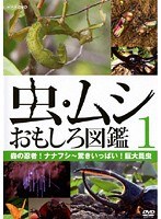 DMM.com [虫・ムシ おもしろ図鑑 2 森に隠れるカマキリたち～世界 輝く虫たち] DVDレンタル