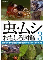 DMM.com [虫・ムシ おもしろ図鑑 2 森に隠れるカマキリたち～世界 輝く虫たち] DVDレンタル