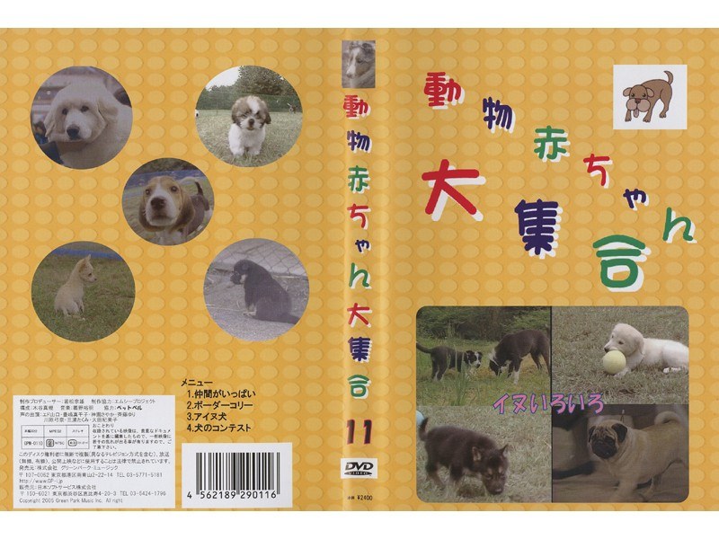 Dmm Com 動物赤ちゃん大集合 11 イヌ いろいろ Dvdレンタル
