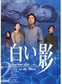 白い影 2