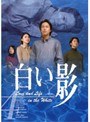 白い影 4