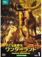 小さな世界はワンダーランド TVオリジナル完全版 Vol.1