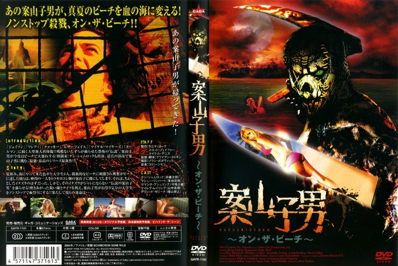 案山子男 〜オン・ザ・ビーチ〜