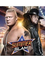 WWE サマースラム 2015 のパッケージ