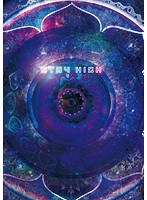 STAY HIGH