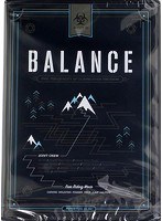 JOINT 016 BALANCE