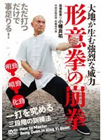 形意拳の崩拳