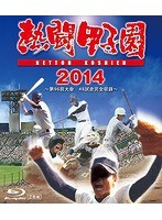 熱闘甲子園2014 〜第96回大会 48試合完全収録〜 （ブルーレイディスク）