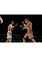 ジ・アウトサイダー 40th 2016.5.29 in ディファ有明 のパッケージ
