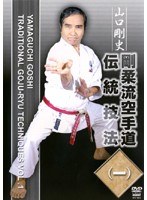 剛柔流空手 伝統技法 一 のパッケージ