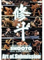 修斗 THE 20th ANNIVERSARY Art of Submission のパッケージ