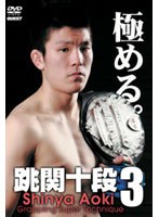 跳関十段 3 青木真也 のパッケージ