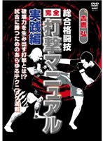 吉鷹弘 完全打撃マニュアル 立ち技篇 のパッケージ