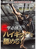 桜井洋平 ハイキックを極める のパッケージ