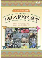 シリーズ・ヴィジアル図鑑 22 乗り物いろいろ大集合！
