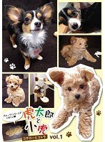 虎太郎と小虎vol.1