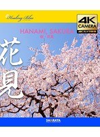 4Kカメラ映像【HealingBlueLヒーリングブルー】 桜・花見 Hanami， Sakura〈動画約51分， approx51min.〉4Kカメラ映像40種収録 （ブルーレイディスク）