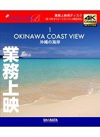 業務上映用4Kカメラ映像【Healing Blue BヒーリングブルーB】沖縄の海岸-1〈動画約100分〉 （ブルーレイディスク）