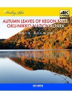 4Kカメラ映像【Healing Blueヒーリングブルー】華厳の滝・奥日光 紅葉〈動画約60分〉ポストカード10種付属 （ブルーレイディスク）