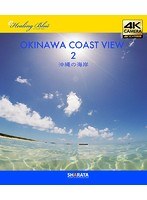 4Kカメラ映像【Healing Blueヒーリングブルー】沖縄の海岸-2〈動画約55分〉ポストカード10種付属 （ブルーレイディスク）
