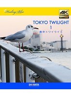 4Kカメラ映像【Healing Blueヒーリングブルー】東京トワイライト 1〈動画約50分〉ポストカード10種付属 （ブルーレイディスク）