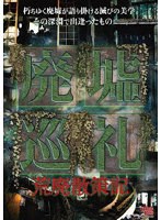 廃墟巡礼 荒廃散策記 のパッケージ