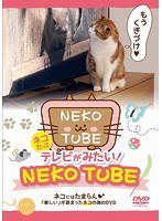 ネコだってテレビがみたい！NEKO TUBE