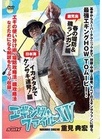 エギングファイル XV