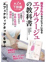 【エフルラージュの教科書】〜たった1回の施術で結果が出る軽擦法 第二巻:下肢/デコルテ/腹部編 のパッケージ