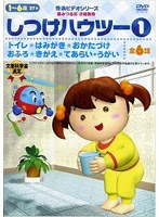 Shitsuke How To — product image