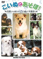 こいぬとあそぼ！