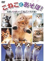 こねことあそぼ！