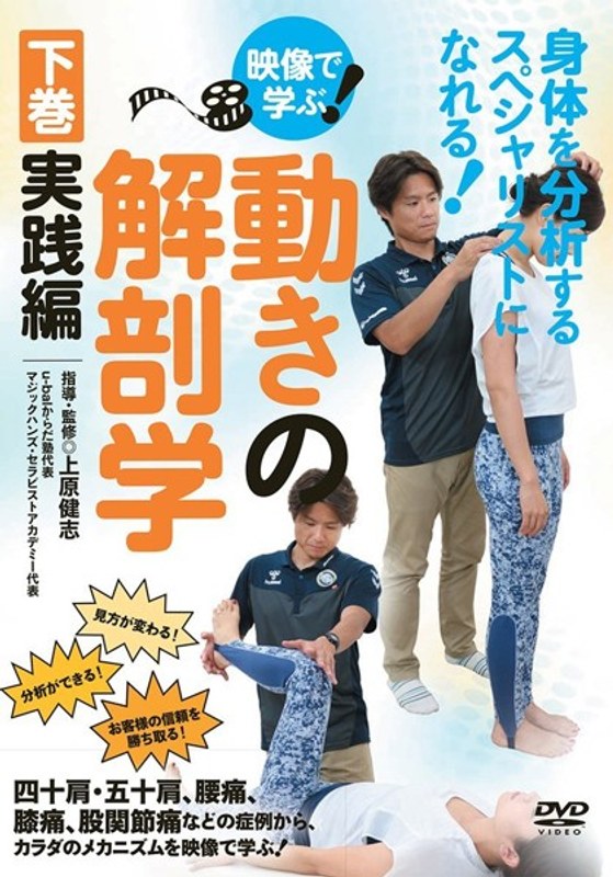 映像で学ぶ！動きの解剖学 下巻・実践編 4,605円
