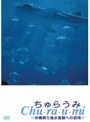 ちゅらうみ 沖縄美ら海水族館への招待
