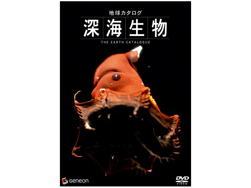 深海生物（改）