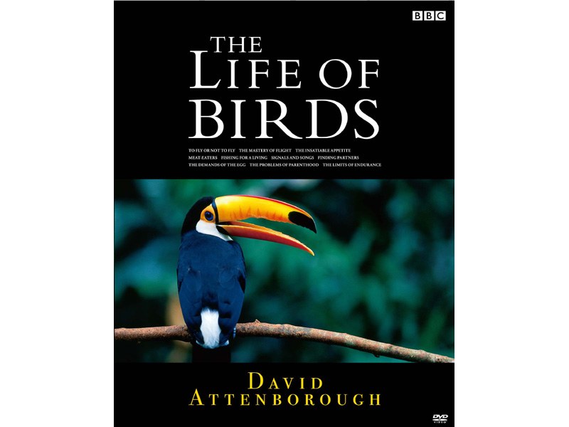 ライフ・オブ・バーズ 鳥の世界 DVD-BOX 16,473円