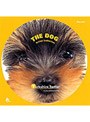 THE DOG ヨークシャー・テリア