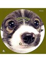 THE DOG パピヨン