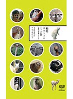 動物チラリズム カメラ目線動物写真DVD のパッケージ