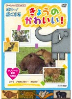 NHKDVD ダーウィンの動物大図鑑 はろ〜!あにまる きょうのかわいい! ラブリーな動物大集合 コアラ・カピバラ・アカカンガルー のパッケージ