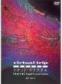 virtual trip 顕微鏡撮影 リキッド・クリスタル 液晶宇宙 Liquid Crystal