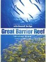 virtual trip グレートバリアリーフ ダイビング・ビュー | teriffic.net